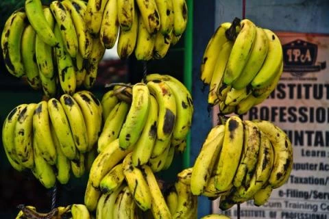Banány Indie