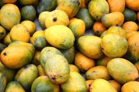 Mango Indie