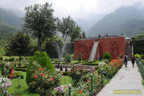 Chashma Shahi