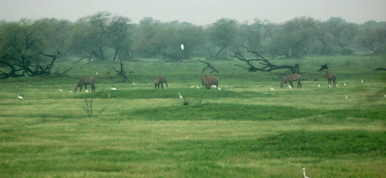 Bharatpur