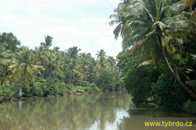 Backwaters Kerala