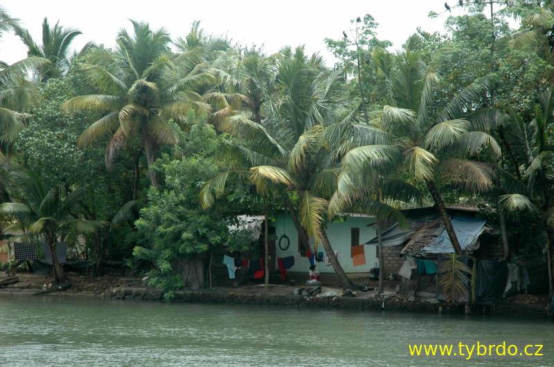 Backwaters Kerala