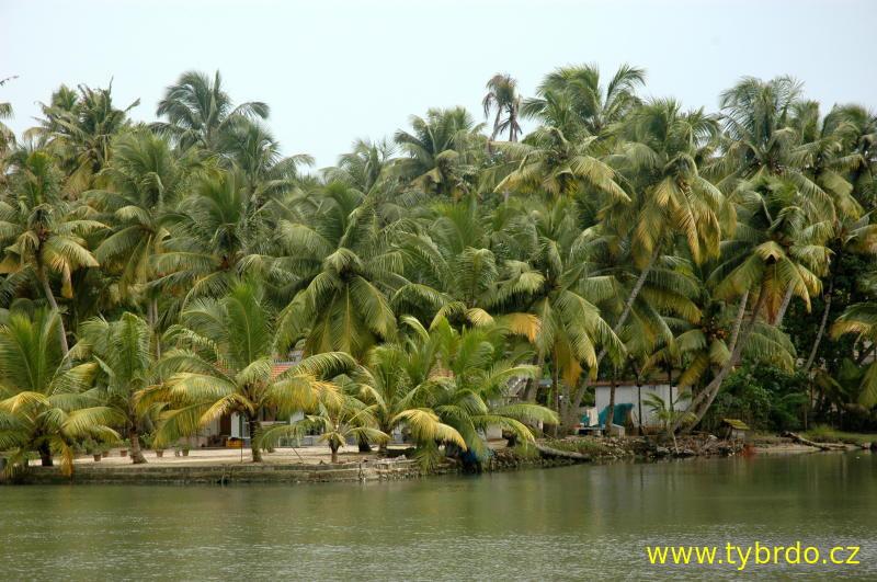 Backwaters Kerala