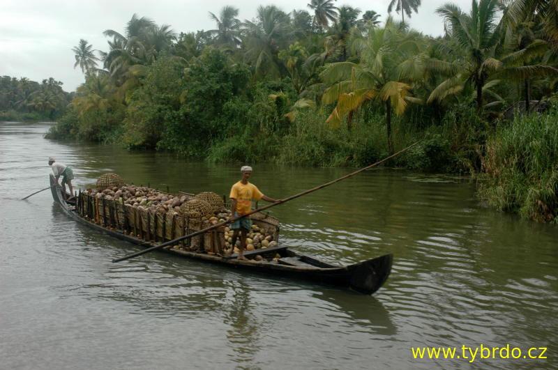 Backwaters Kerala