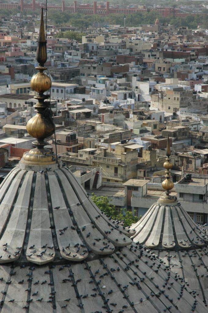 Jama Masjid, Delhi