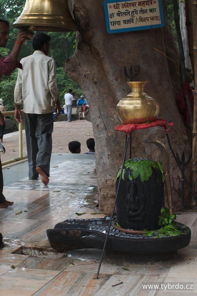 lingam