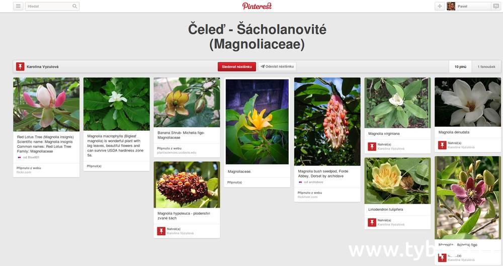 Pinterest