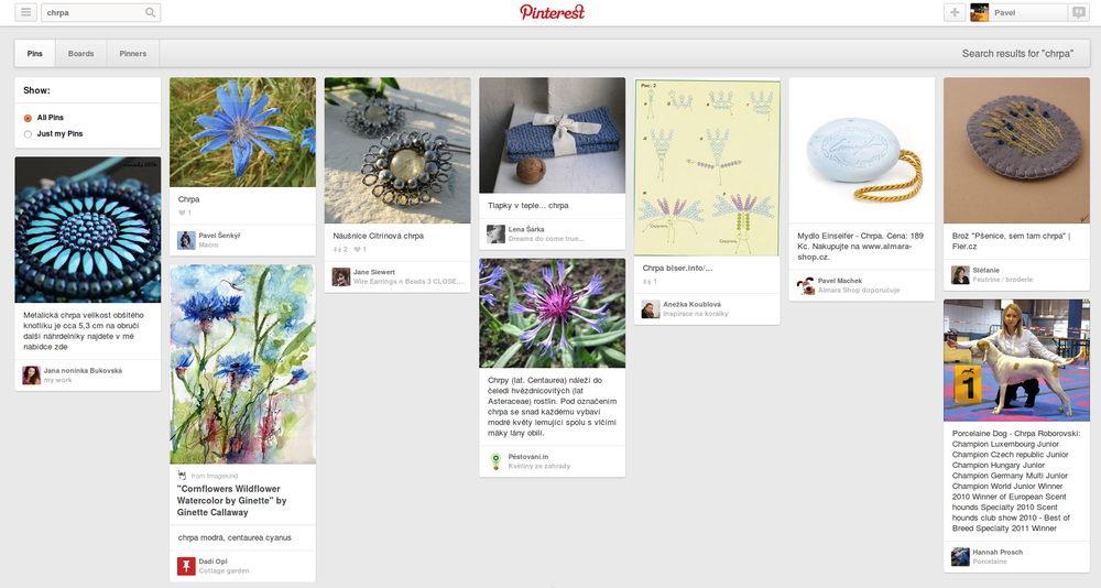 českou chrpu na Pinterestu najdete obtížně