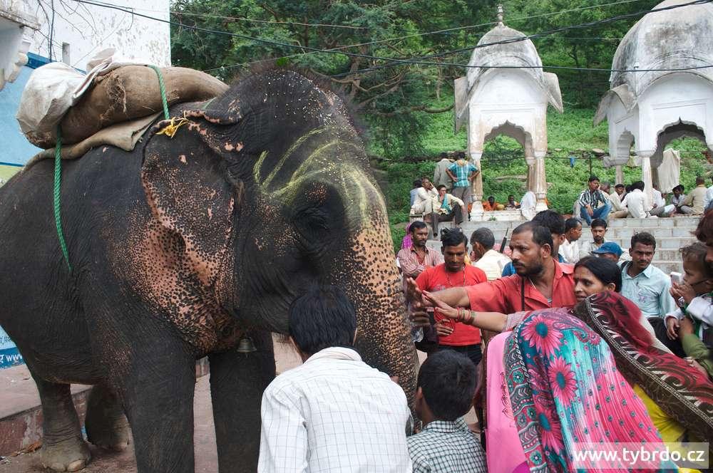 Hinduističtí poutníci uctívají slona, Čitrakút
