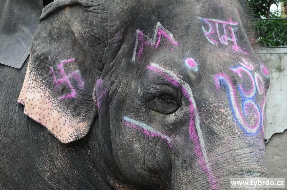 Tohoto slona zdobí symbol Šivy