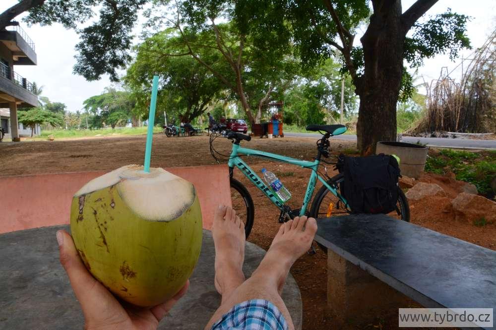 zelené kokosáky - nejlepší jihoindické pití
