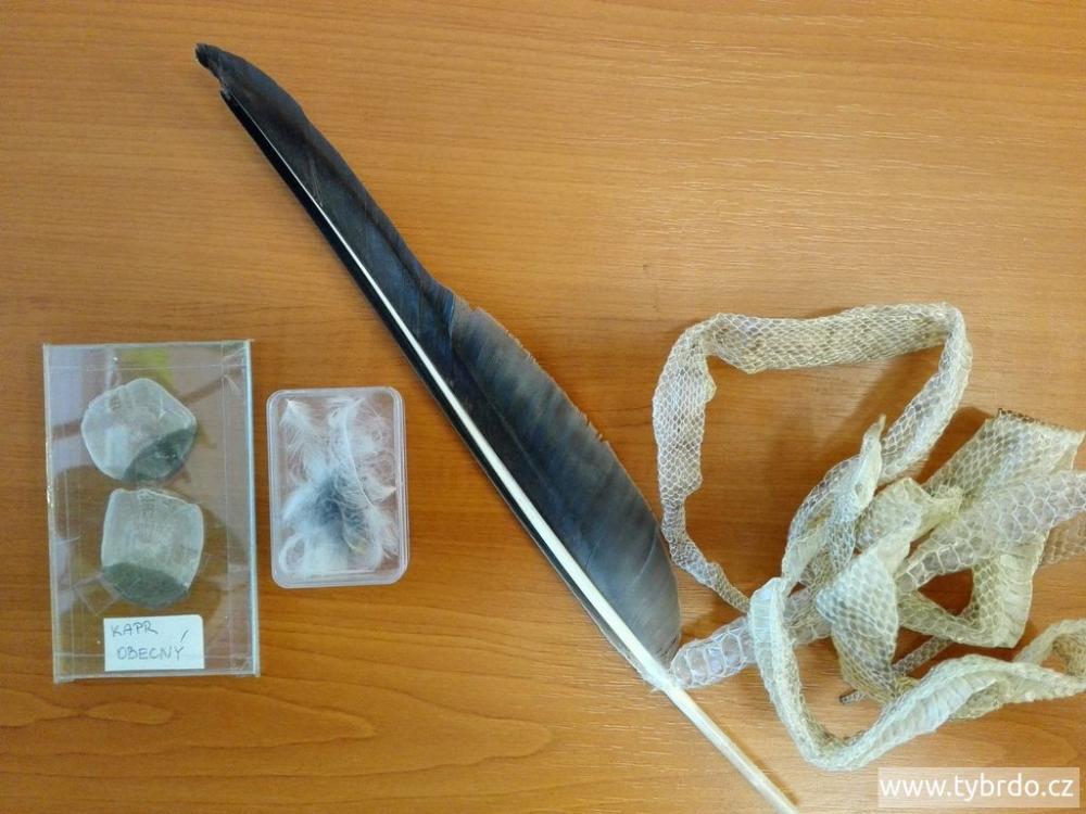 pomůcky pro laboratorní cviční