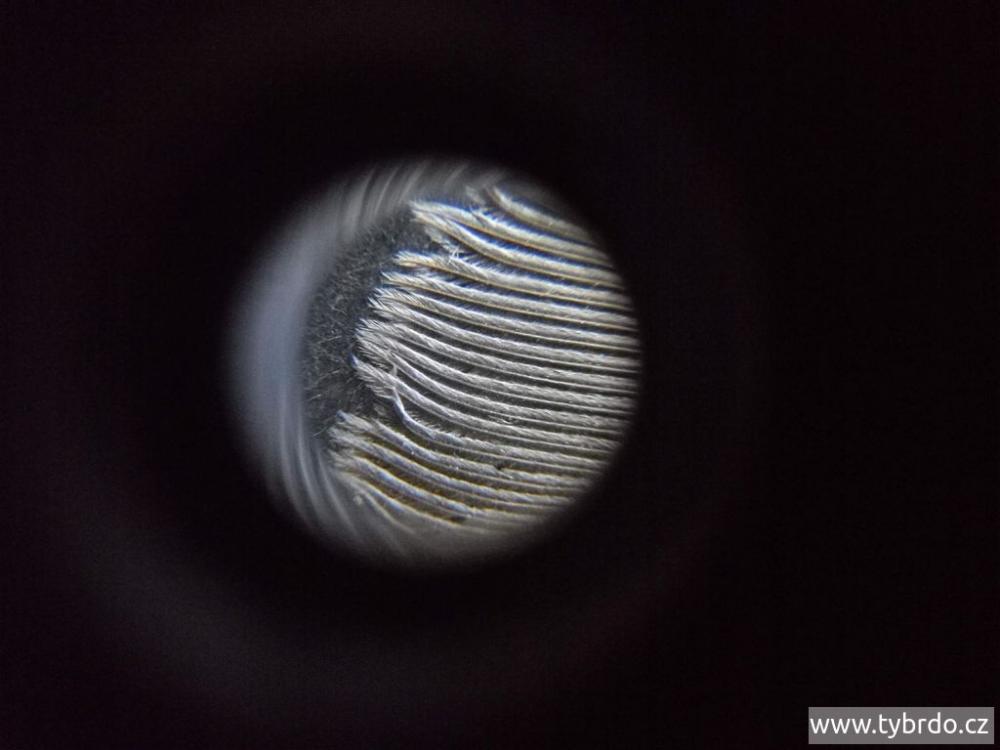 Foceno lupou na mobilu