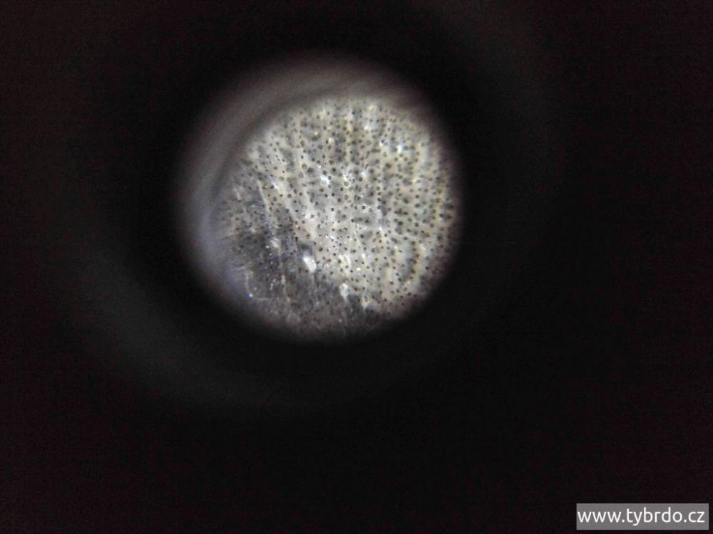 Foceno lupou na mobilu