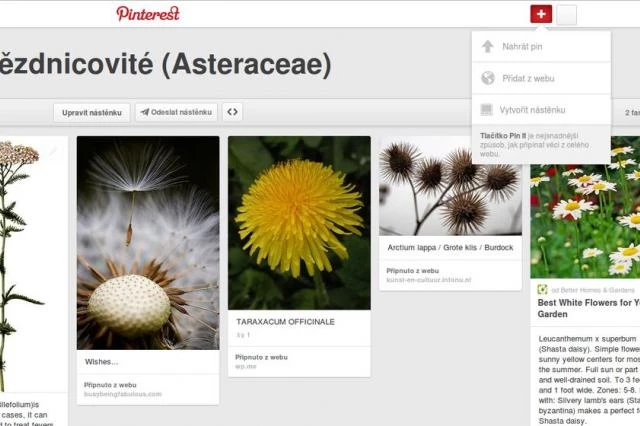 Pinterest