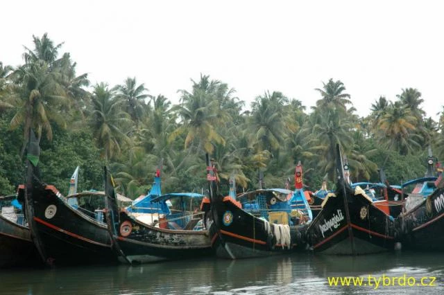 Backwaters Kerala